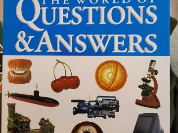 The world of Questions and Answers