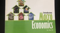 Introductory Macro Economics