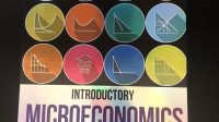 Introductory Microeconomics