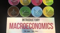CBSE class XII Introductory Macroeconomics