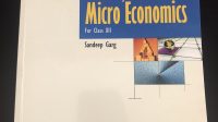 Class 12 Introductory Micro Economics