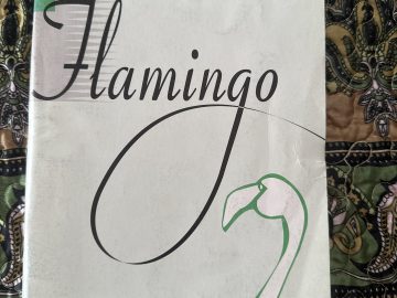 Flamingo